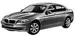 BMW F10 DF191 Fault Code